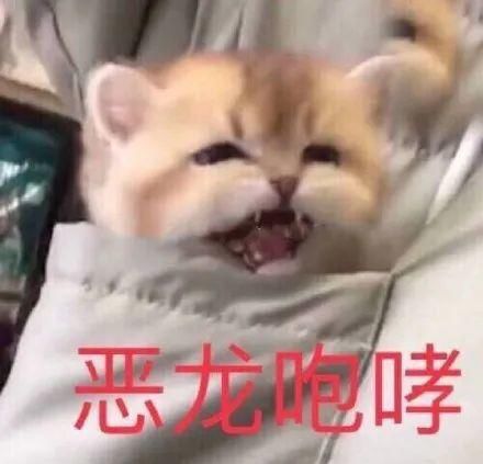 女主|这才是真正的漫画女主下凡,疯狂心动啊...