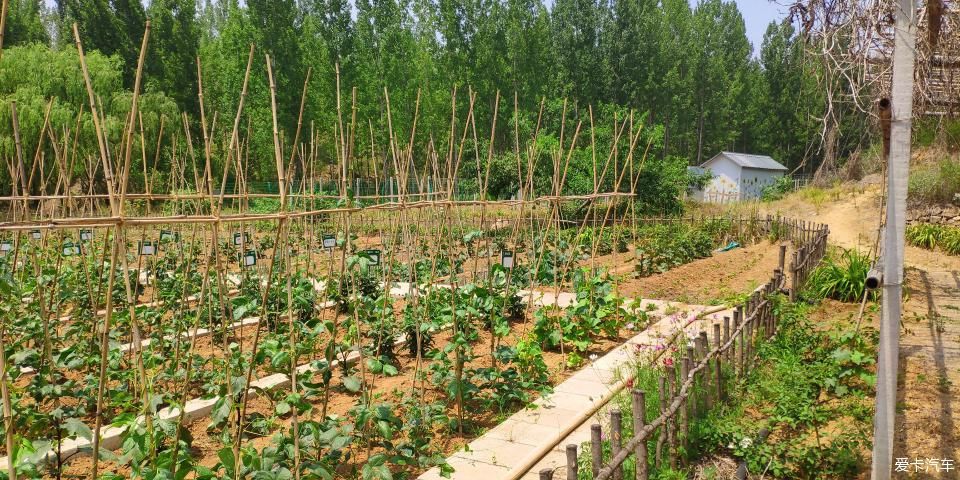  度假村|泗水万紫千红度假村一日游