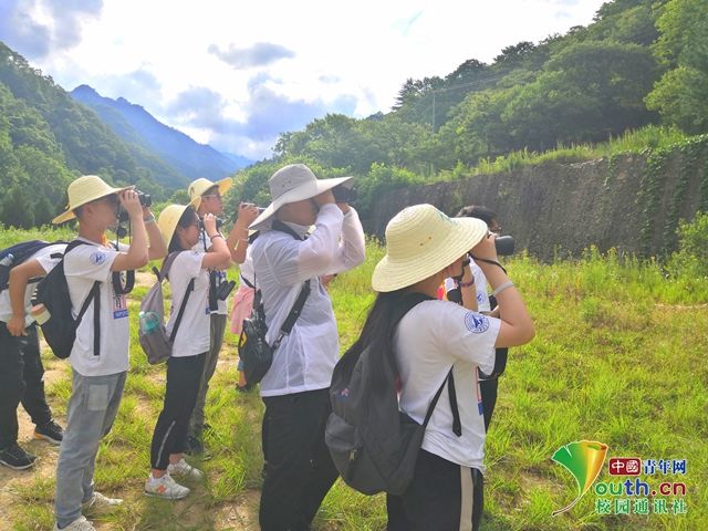 大学生|陕西大学生赴汉中开展秦岭生态调研