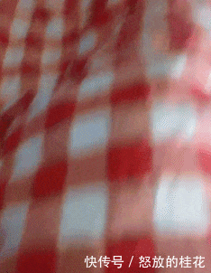 不服|搞笑GIF:我不服别的,就服这个演技