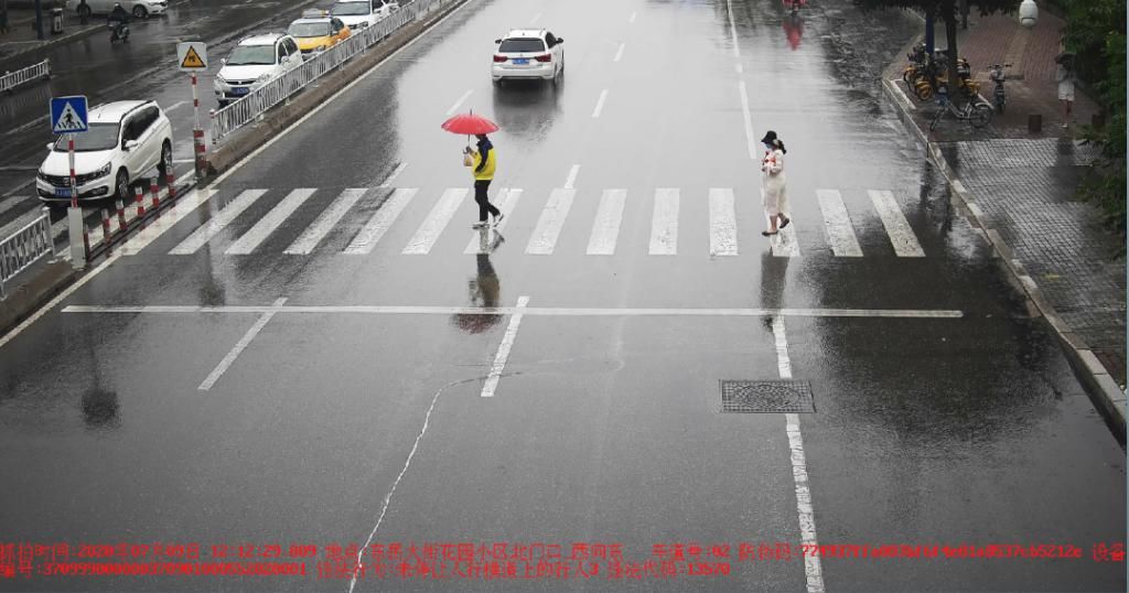 曝光|泰安这些车和人被警方曝光！原因是……