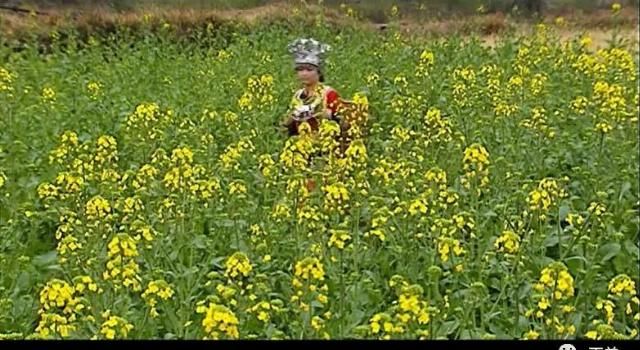  邪术|猎奇|湘西三大邪术之首，嫁给山神被拽入深渊的落花洞女