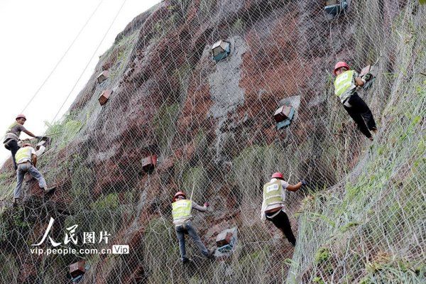 道路|四川仁寿：道路安全“织网人”