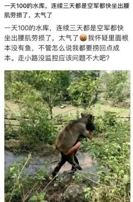 上朝|“拉肚子腿蹲麻了，放个板凳靠谱吗？”哈哈哈还以为你上朝呢...