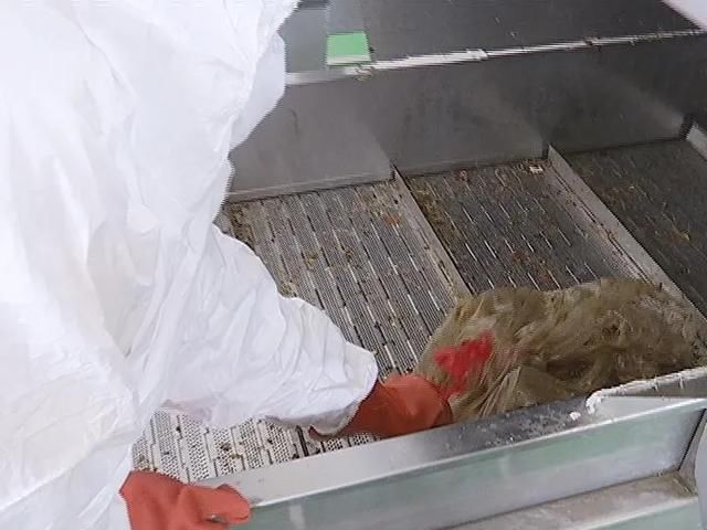  幕后|厨房里“垃圾处理”的“幕后小秘密”