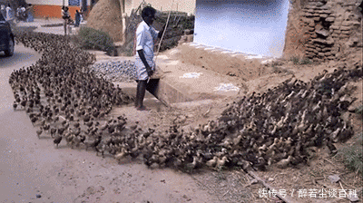 穿着|妹子，你的腿真长啊，但穿着短裤就别这么坐了，尴尬！