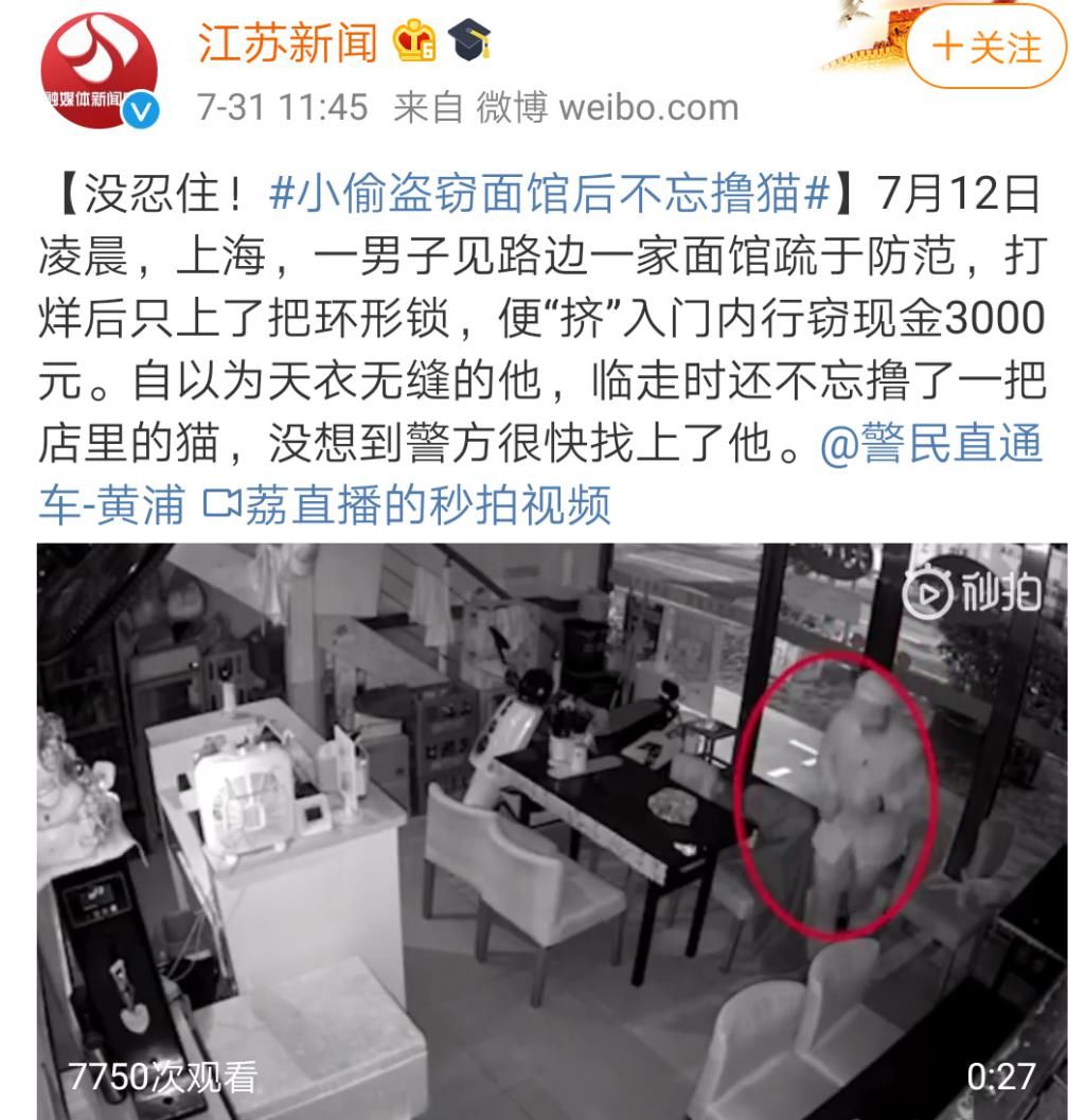  评选|年度沙雕小偷评选，感觉智商受到了侮辱...