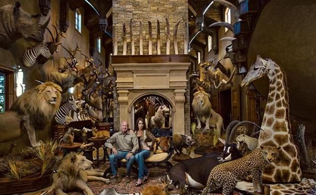  合法|有钱人花上33万，就可以在加拿大合法杀死一只北极熊