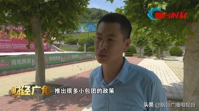  放开|烟台：国内跨省游放开 团费、机票都在降