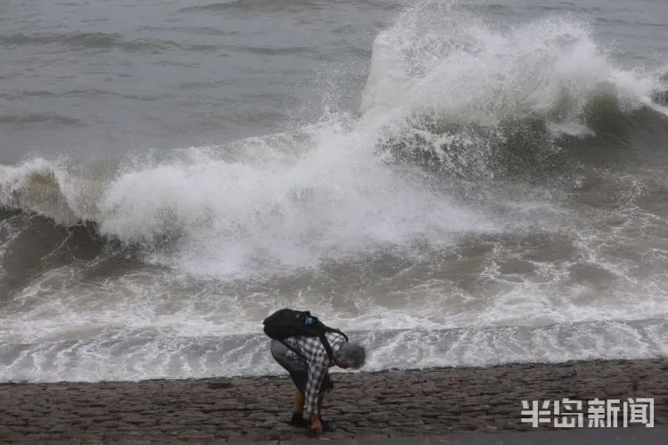 降水|青岛澳门路海边风大浪急，仍有人顶着大浪捞海冻菜