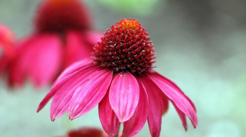 走上|7月开始运势上佳,走上发财路,功夫不负有心人的四大生肖