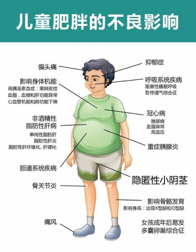 饮食|十岁男童患脂肪肝!你的孩子是否也存在这些问题……