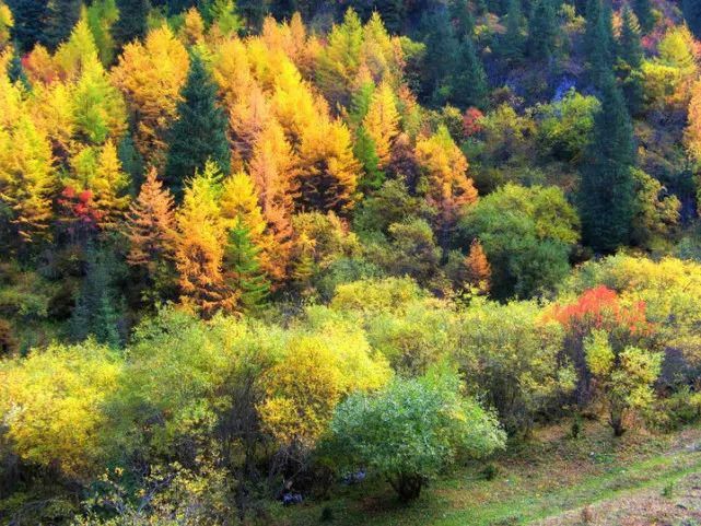  蹊跷|姜广富：蹊跷的命案｜故事