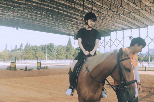  万茜|《乘风破浪的姐姐》最新排名出炉：万茜有望反超孟佳，蓝盈莹实惨