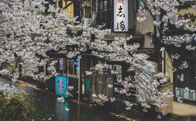  赵名辉|塔罗做灵气有什么用？——赵名辉塔罗