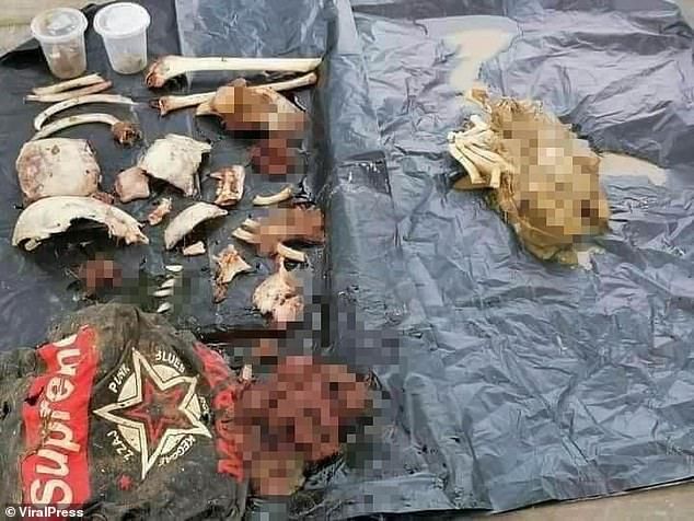  发生|14岁男孩在河边被鳄鱼吃掉，5天后人们从鳄鱼肚里找到其遗骸