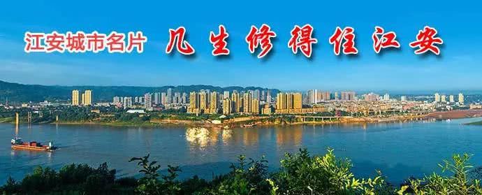 行人|礼让斑马线彰显城市形象