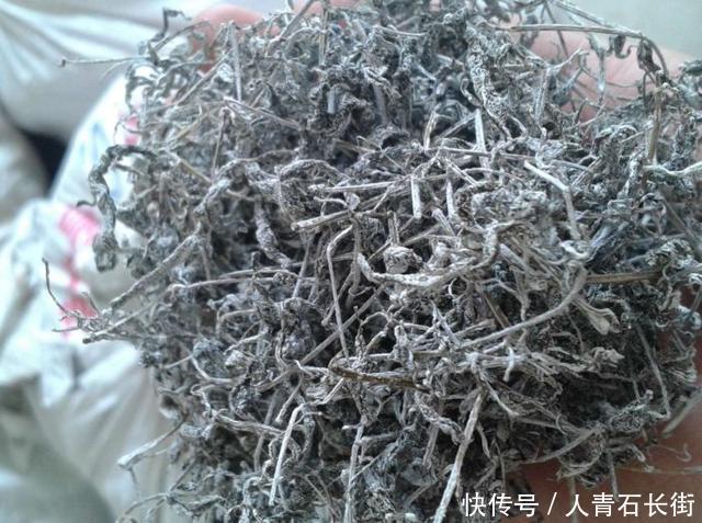  找到|增强孩子抵抗力的“天然水”被找到了，防病又固本，体质弱要多喝