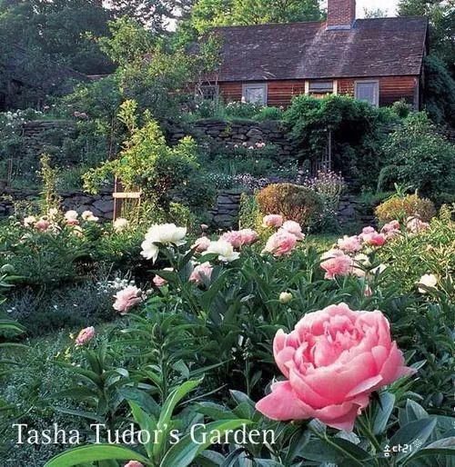  李子|她用3年时间爆改老宅，把荒地变花海：原来除了李子柒，我们还有另一种田园牧歌