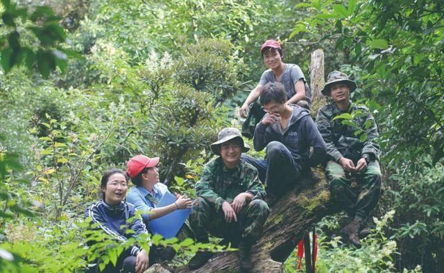 生长|云之南，一个生生不息、万物生长的地方