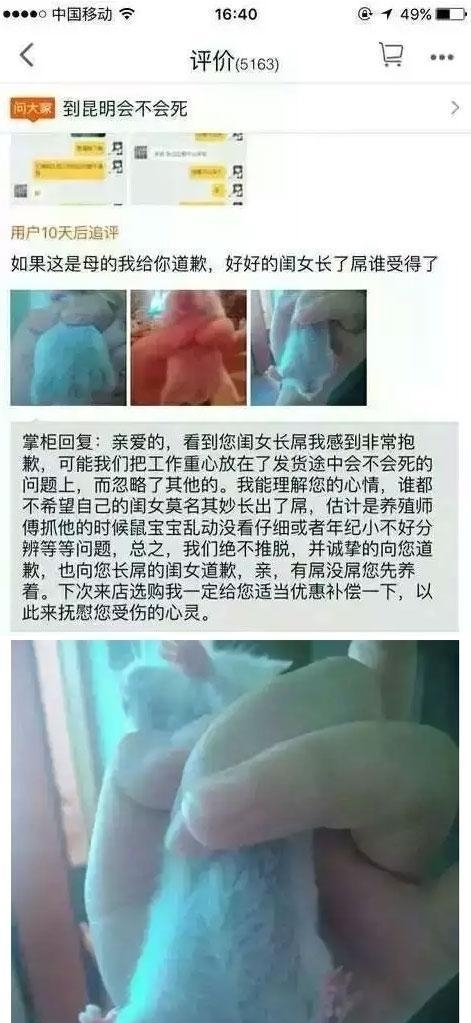 评论|那些淘宝卖家花钱都要删除的评论, 一个个都是祖国的人才!