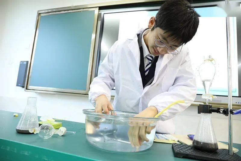 积分|不限户籍,不要积分!这所好学校开放少量补录名额!赶紧!