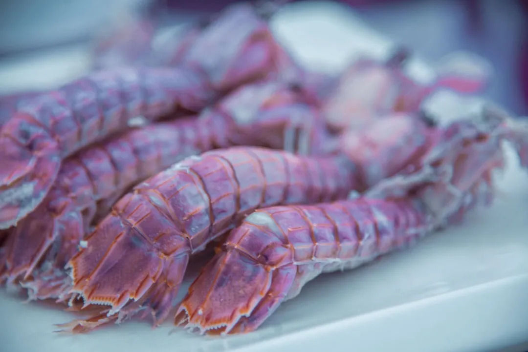  海鲜|休渔期结束啦！苍南这些海鲜美食统统安排起来