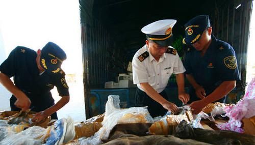 货车|海关拦截货车搜出“腐败木头”，知情人称一般人买不起