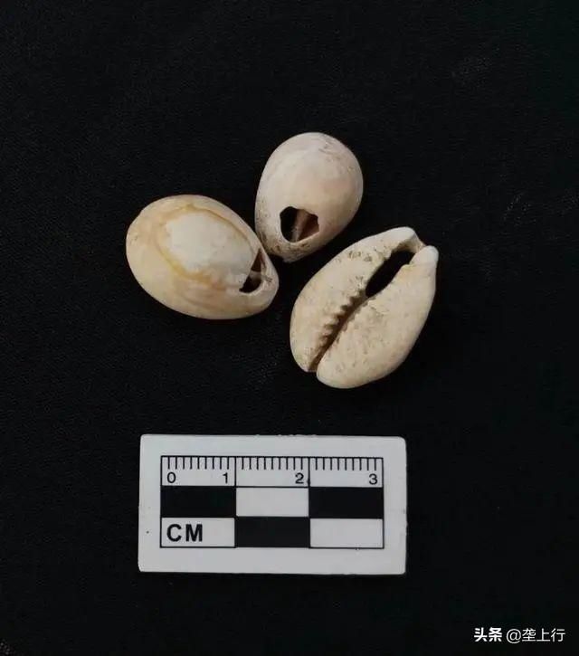  罕见|罕见！学校足球场发现3000㎡古墓，单坑19颗头骨