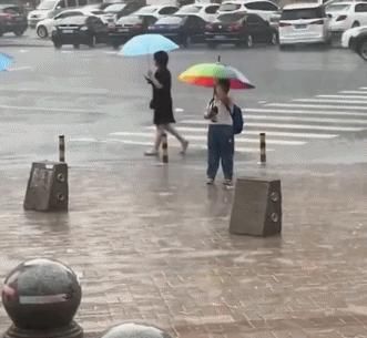  小可爱|这些小可爱是真实存在的吗？