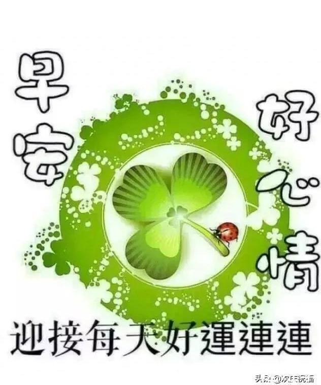 早安|走过,经过,尝过,还是平淡最美;听过,看过,想过,还是简单最好,早安