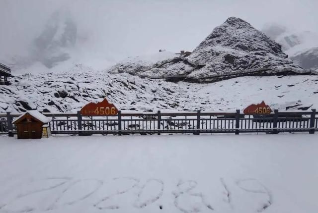 运送|玉龙雪山美丽的背后：他们一天运送1吨粪便、悬崖边清垃圾…