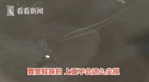  认可|5个熊孩子车顶“蹦迪”车损1万多 家长：不认可