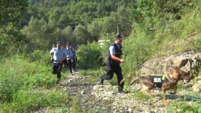 练兵|无人机、特警出动，柞水协同练兵场面超燃！