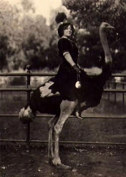  狗子|医生检查狗子最多生6只宝宝，最后它竟然生了20只，医生都惊呆了！