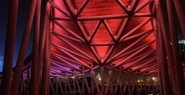  网红|【探索】滴水湖4座“网红”景观桥亮灯啦！快来先睹为快