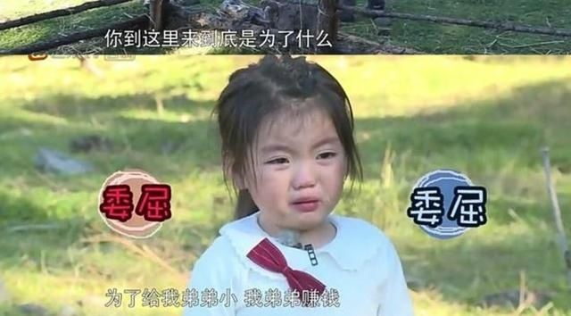  挣钱|曾说“我要养弟弟”，年赚百万的阿拉蕾，如今怎么样了？