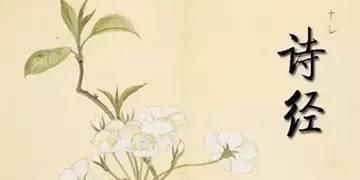  情诗|我们认为《关雎》是一首情诗，但实际上还有一层更深的隐藏含义