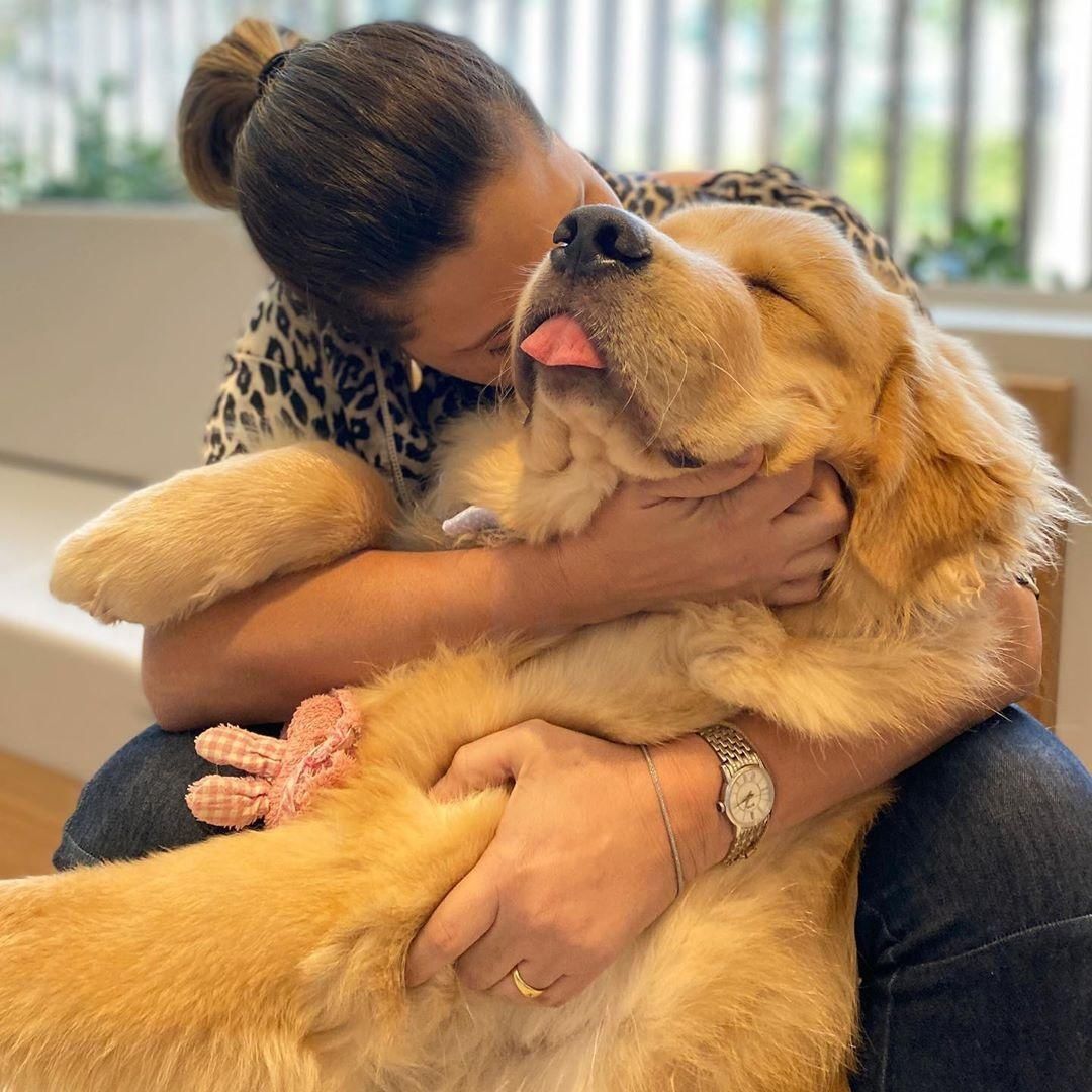 人养|国内8种超多人养的网红狗狗，你家狗狗在其中吗？容易养吗？