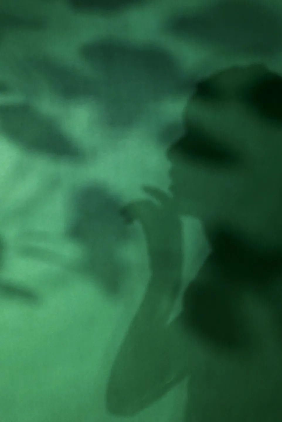 公主|迪士尼在逃公主都被抓回去了?现在逃跑还来得及吗?