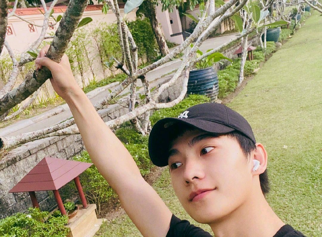  综艺节目|艺人新媒体综艺排行, 赵丽颖谭松韵上榜, 杨洋的名次厉害了