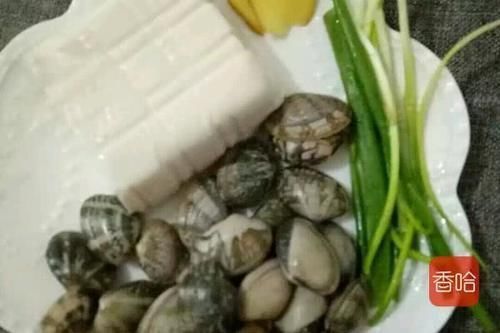 绝配|豆腐和它是绝配,补锌又营养,孩子常吃猛长个