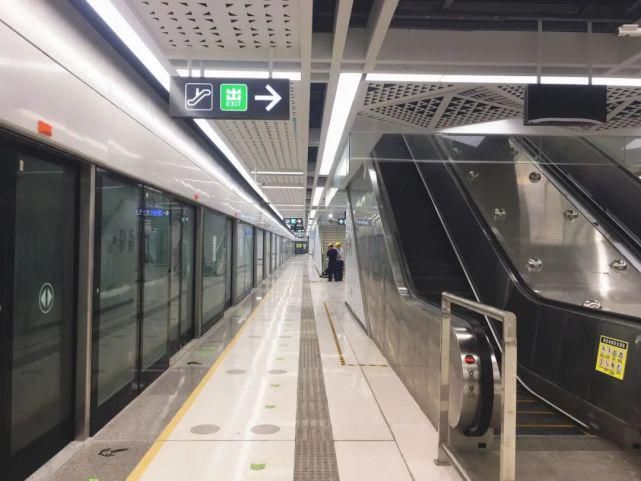 截获|涉案近百吨、案值350万！广东截获大批走私冻肉，这些鸡翅、鸡爪千万别吃