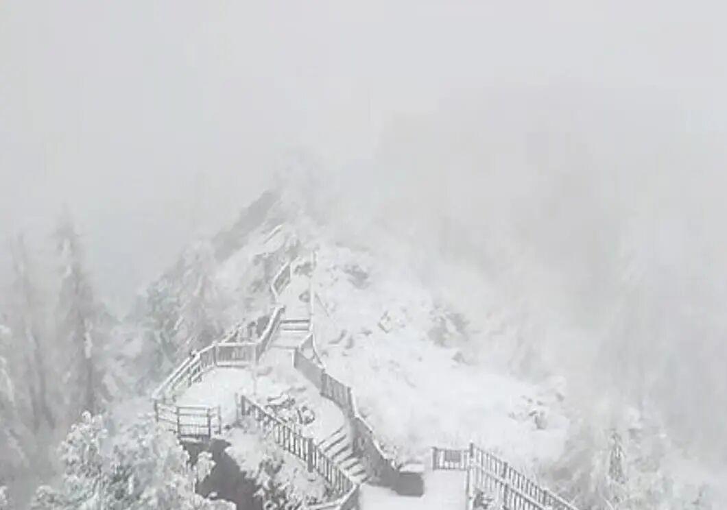 t11508c75c85872aa7bcc977b38.jpg?size=106