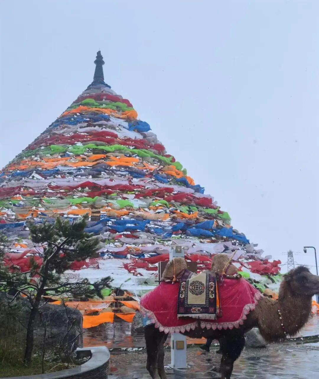 t11508c75c87c789393c5a6afd7.jpg?size=108