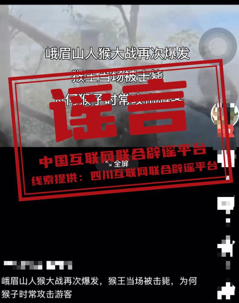 t11508c75c8a012cb5892a23620.jpg?size=788