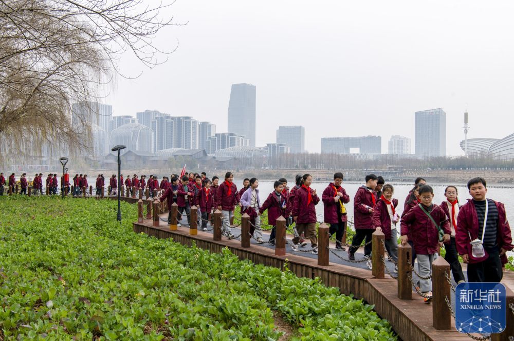 t11508c75c8a5a8d275bb5064d0.jpg?size=100