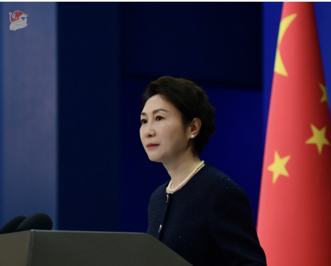 t11508c75c8c37bcba5e909f971.png?size=108