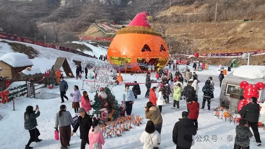 泰山财经山东旅游龙年开门红文旅企业这样抓机遇