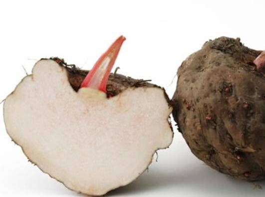 魔芋中的多糖也就是葡萄甘露聚糖的含量高达30%,尤其是白魔芋和花魔芋